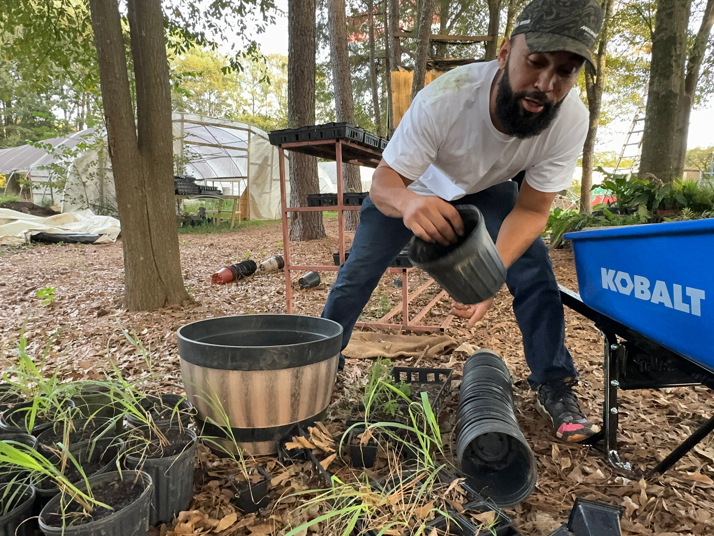 Garden-to-Plate: Autumn Workshop