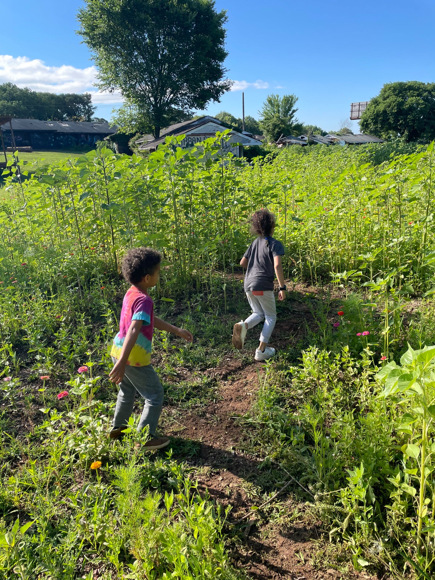 PREMIUM FARM KIDS MEMBERSHIP