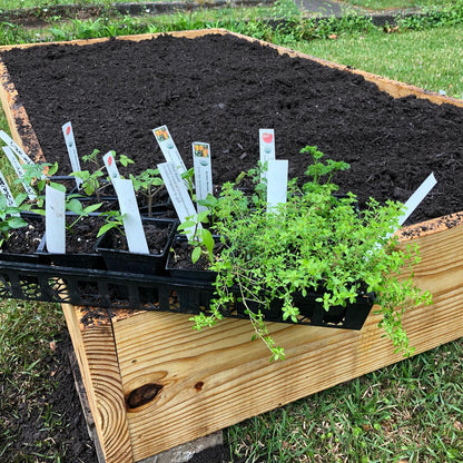 Cedar Raised Bed Making Workshop