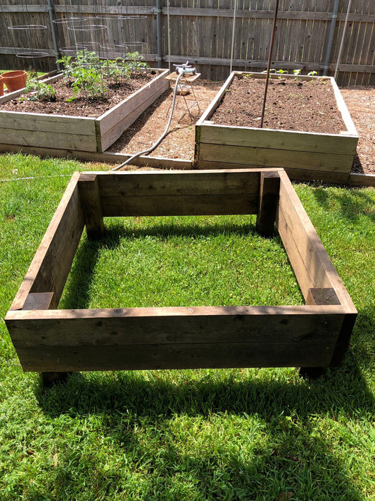 Cedar 4ft x 4ft x 10in Raised bed Kit with Plants