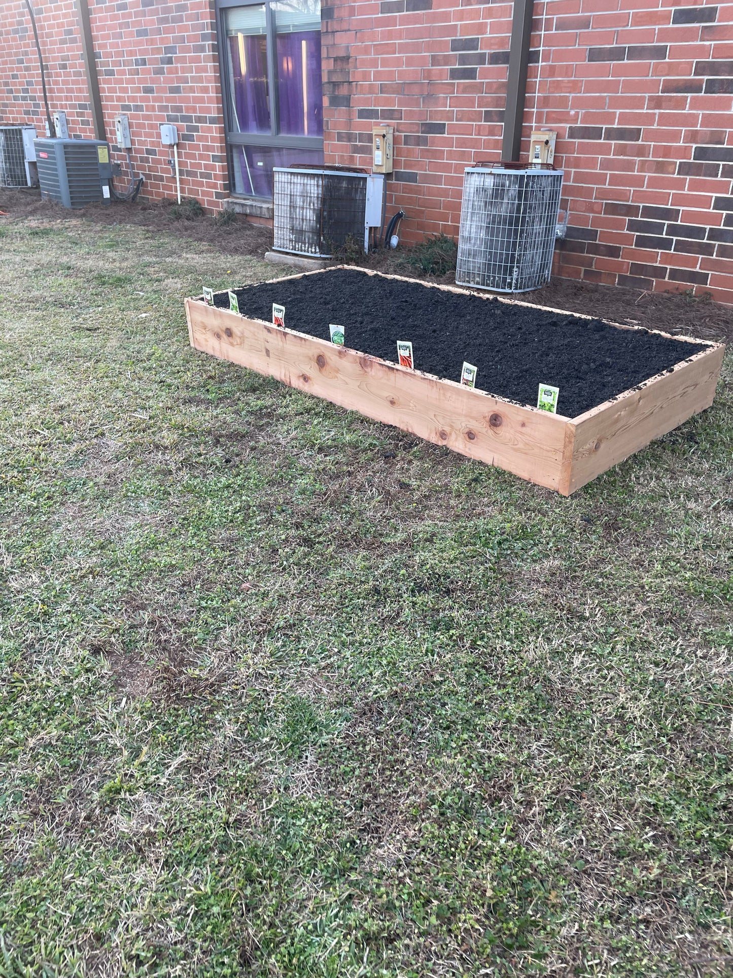 Pine Raised Bed Kit with Soil and 10 plants