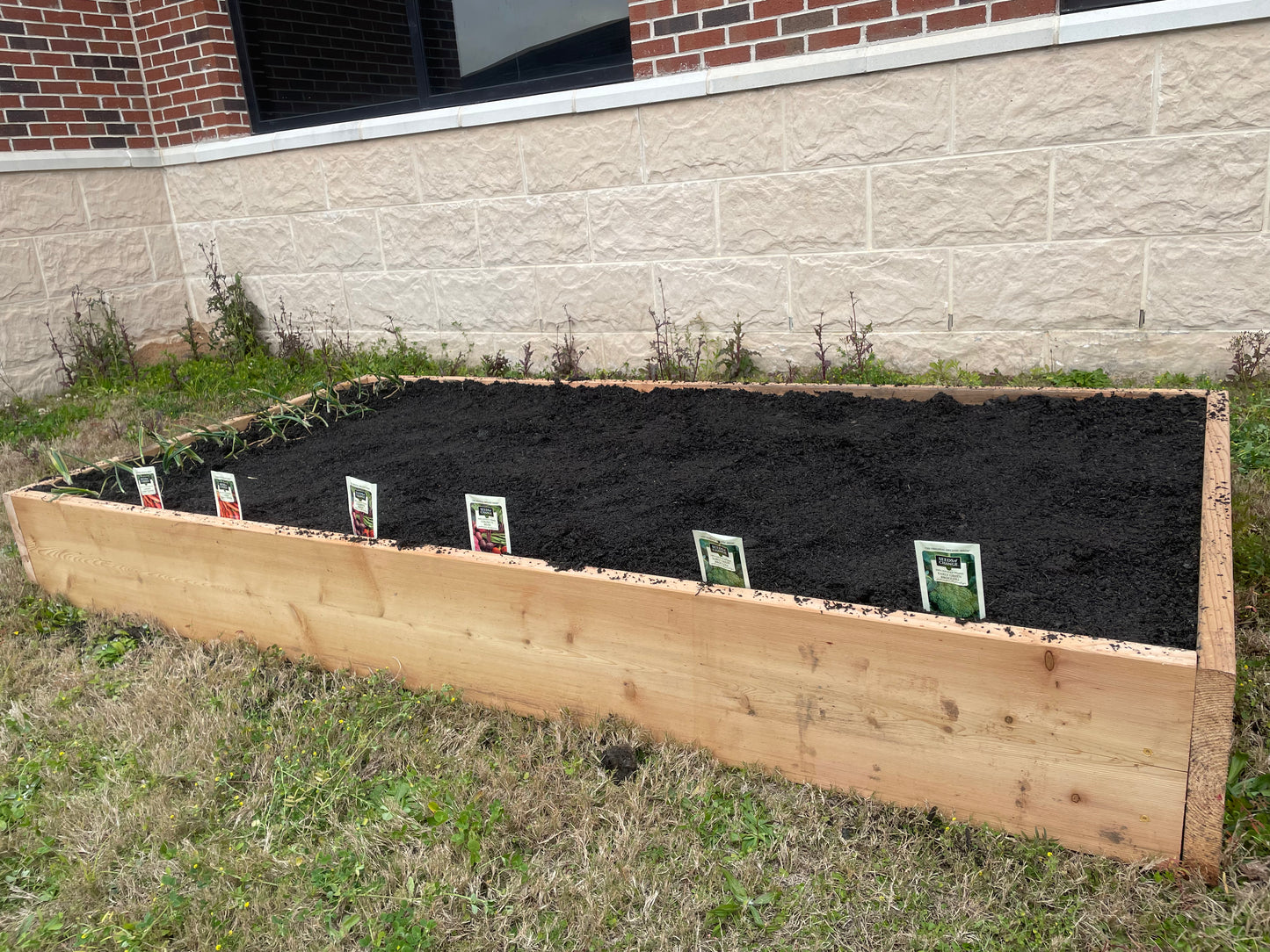 Cedar 4ft x 8ft x 10in Raised bed Kit with Plants