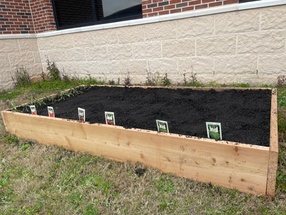 Cedar 4ft x 8ft x 10in Raised bed Kit with Plants